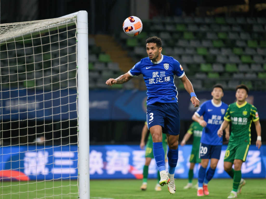 中发挥重要 中发挥重要